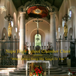 NHSChamber5-12-150.jpg